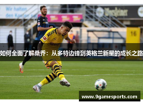 如何全面了解桑乔：从多特边锋到英格兰新星的成长之路